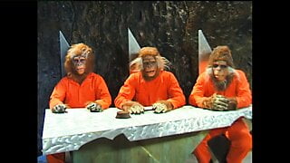 Planet Of The Babes #1
