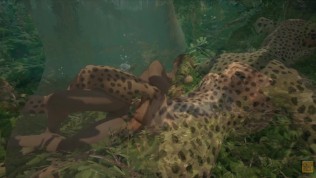 Wild Life / Leopard Playing With Her Prey