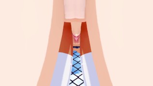 Hayase Nagatoro Ijiranaide, Nagatoro-san 3D HENTAI Part 5/8