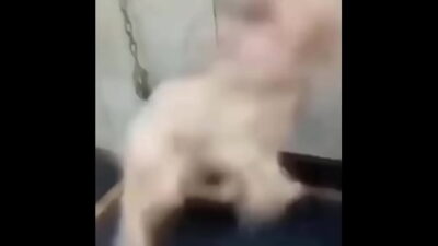 Los misterios de Ari 51